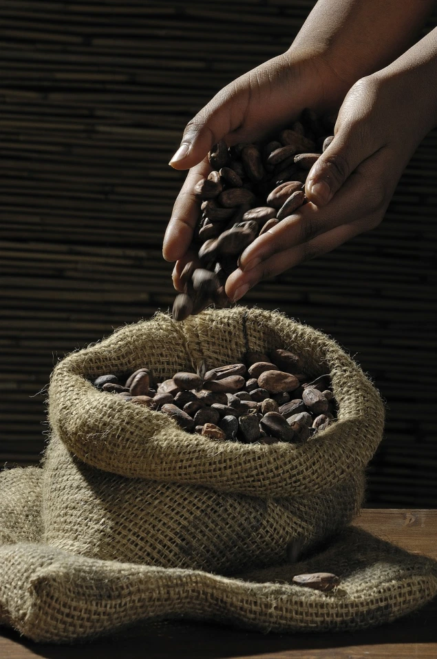 cocoa-beans-499970_1280
